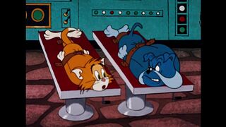 Tom & Jerry   The Dog & Cat Switcharoo   Classic Cartoon Compilation   WB Kids