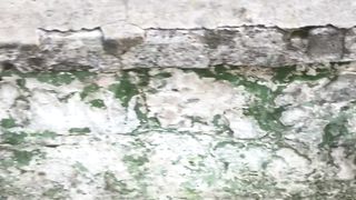 Копачи в реале, химеры нет на месте
