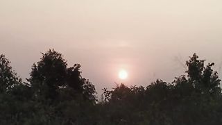Hope your day is very beautiful