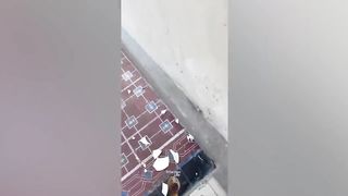 Funny & Hilarious People's Life ???? #4