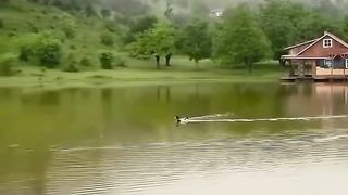 موسیقی