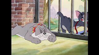 Tom & Jerry   Spring is Coming ????   Classic Cartoon Compilation   WB Kids