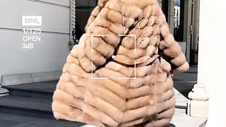 МОДЕЛ