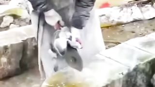 سنگهای زیبا