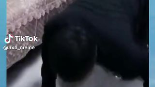 Vidéo drole