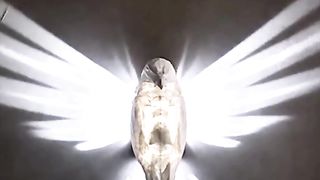 Spectacular wall lamp
