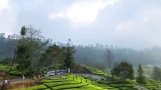 The natural atmosphere in Indonesia is very good