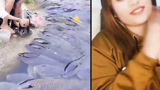 wonderful fish Live