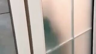 cute cat funny - part 14