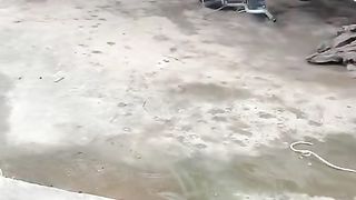 2 fighting