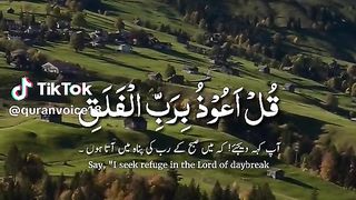 | Beautiful Quran Recitation|