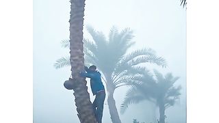 Amazing video ????