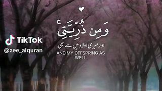 beautiful quran recitation????????????