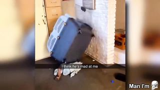 try not to laugh