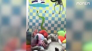 impossible memes, try not to laugh