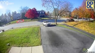 TRY NOT TO LAUGH WATCHING FUNNY FAILS VIDEOS 2024