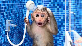 Monkey baby bon bon goes to the toilets and plays with ducklings in the swimming pool.