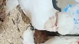 We are near the carton