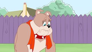 Tom & Jerry   How Old is Spike   WB Kids