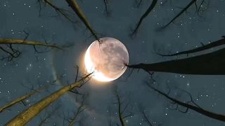 Beauty of darknes