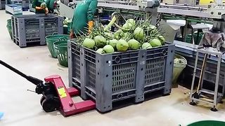 Amazing videos vol 634