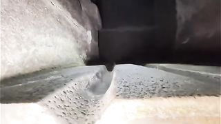 Egg of Egypt