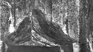 Eggs of Pramyd