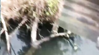 Funny video????????????????