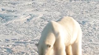#National_Geographic