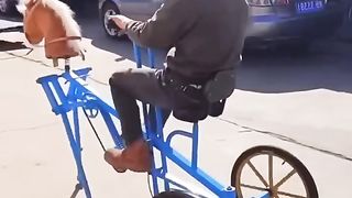 Horse cool