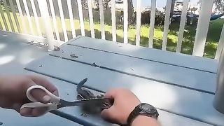 Pria baik hati yang menolong tupai