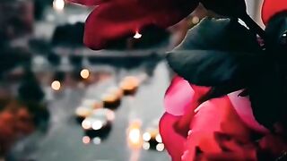 red rose