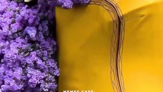 I Love Flowers...