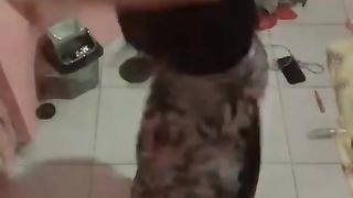 nayaa