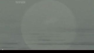 Whale trapped in the arctic ocean