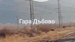 ГАРА ДЪБОВО