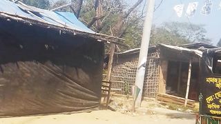 Area video