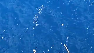 the beauty of the ocean but has its own ferocity keindahan lautan namun menyimpan keganasanya sendiri海は美しいが、その恐ろしさもある