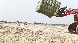 Rhodes grass loading cointer video viral
