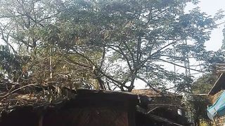 Village scene