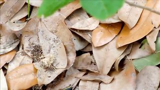 ХУДШИЕ БЛЮДА В МИРЕ - ТОП 10