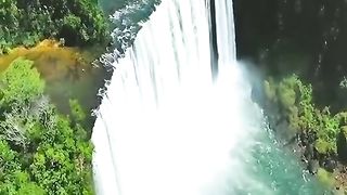 The nature