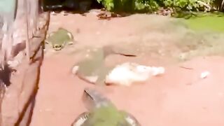 TRY NOT TO LAUGHING I Best Funny Videos Compilation 2024 # 670
