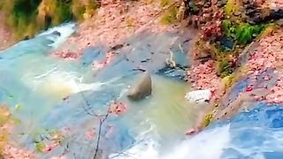 Nice video
