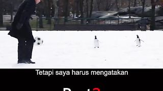 6 penguins magically change a man's life Part 2