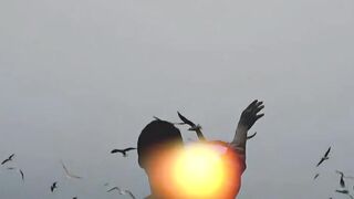 The best shorts videos