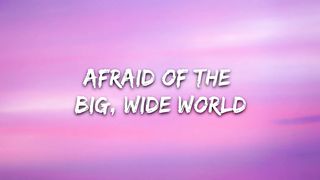 Lily-alan walker( lyrics videos)