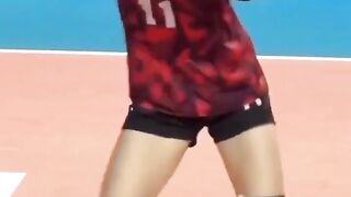 Volley ball Korea Lee da hyeon