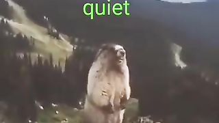 This place is quiet. Kindly subscribe to my channel. Drop ur link in the comments section so that I'll subscribe to yours too