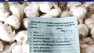आज का लहसुन मंडी भाव शुजालपुर मंडी 19/02/2024